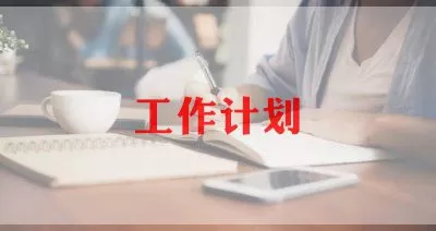 有关公司会计的优秀工作计划三篇