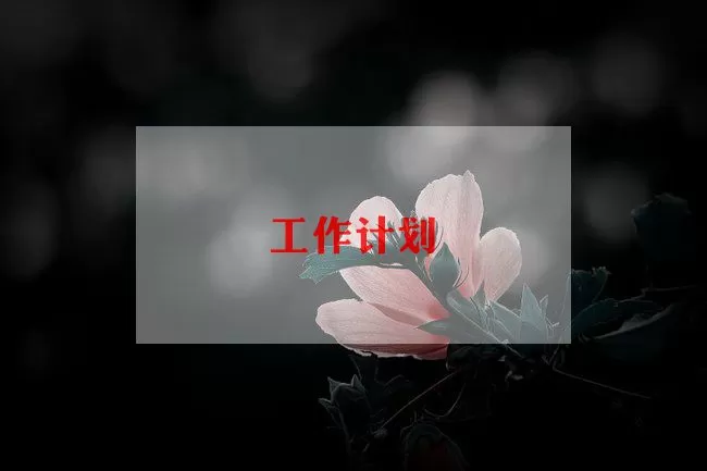 教师教学年度计划精选范文