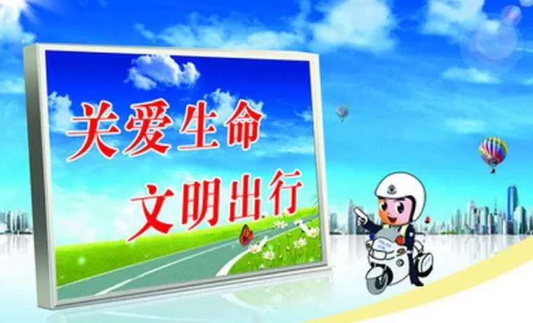 车辆道路安全计划