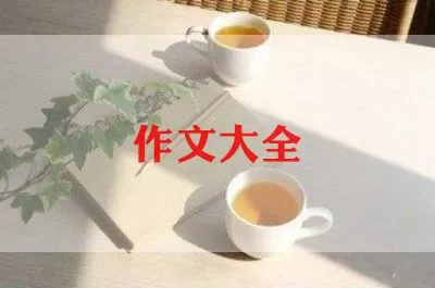 最美教师优秀作文范文精选6篇