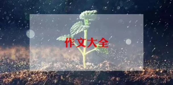 考试总结作文范文模板10篇