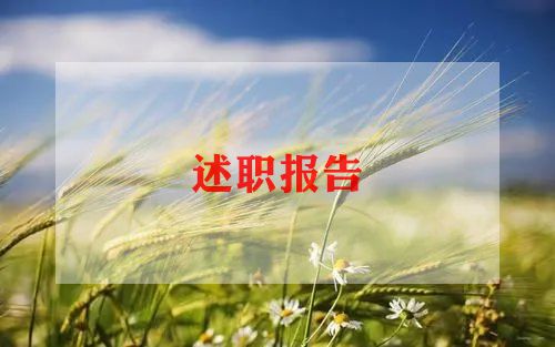 校长年度考核个人述职报告范文6篇