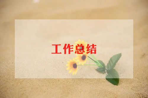 教师暑假班工作总结8篇