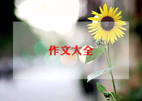 中秋节350作文5篇