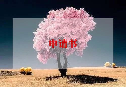 专业转专业申请书8篇