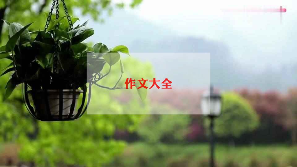 中秋节的习俗作文400精选7篇