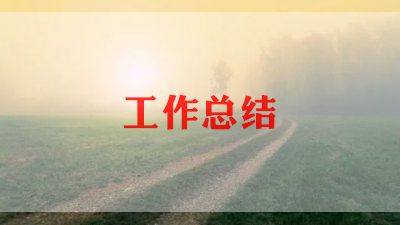 2022年维修个人总结6篇