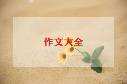 教师的作文5篇