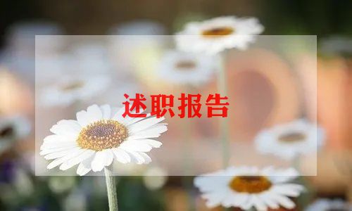 会计师述职报告5篇