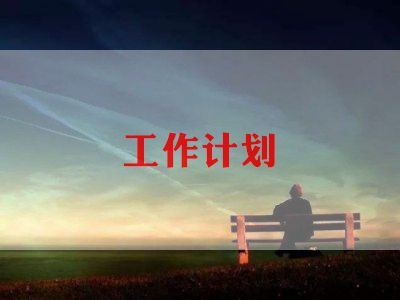 招标师个人工作计划7篇