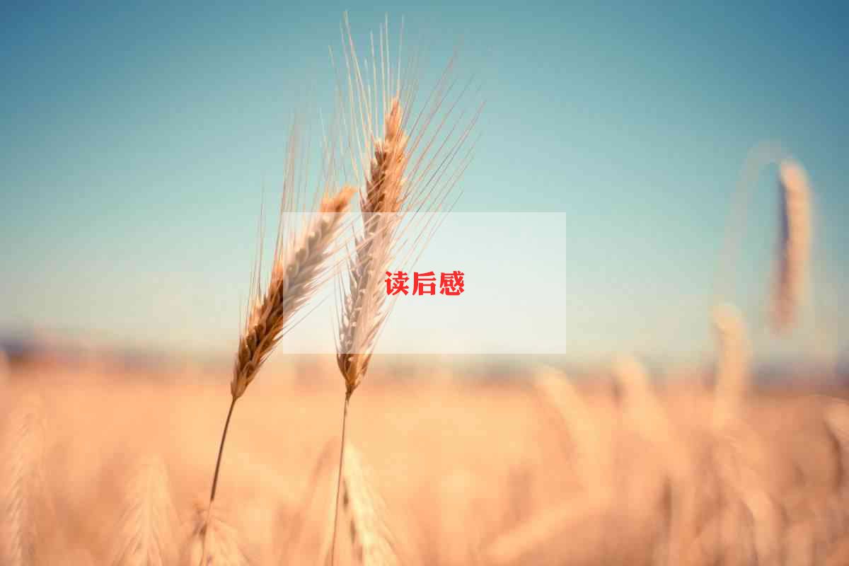 茶馆读后感500字6篇