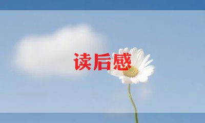 窃读后感300字最新8篇