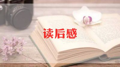 井老师读后感优质7篇