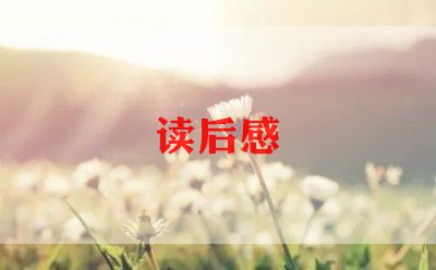 红楼红读后感最新8篇