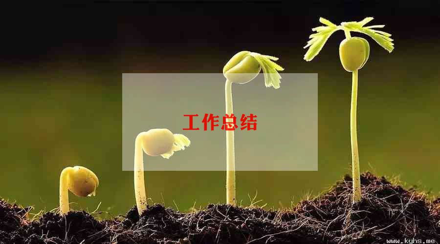 软件科工作总结通用8篇