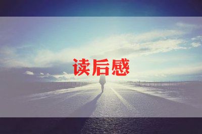 奇迹男孩书读后感7篇