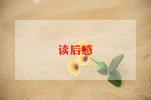 赠少年读后感参考5篇