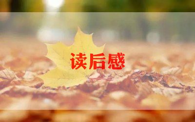 英语100读后感最新7篇