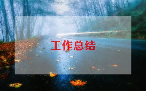 培训师教师总结6篇