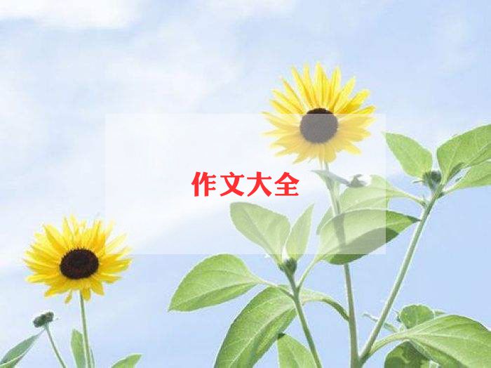 描写猫的作文400字最新8篇