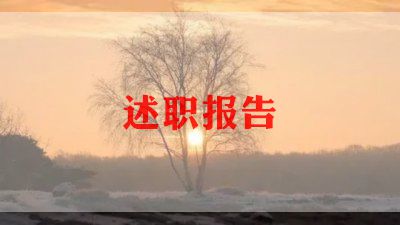 2024保险公司述职报告8篇