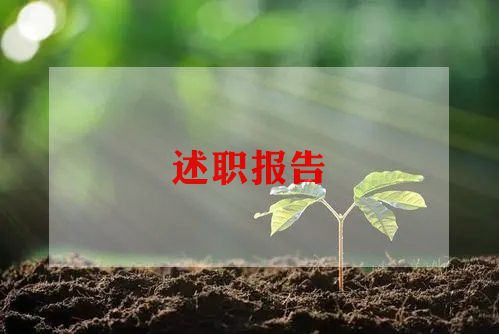 个人职称述职报告8篇