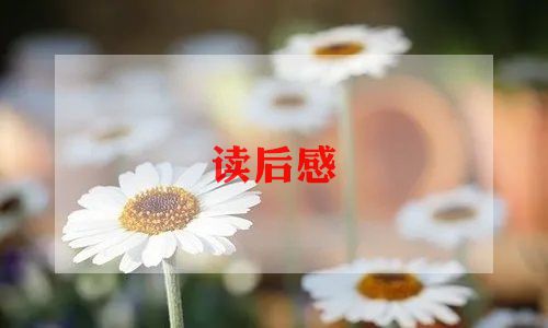 《骆驼祥子》读后感7篇