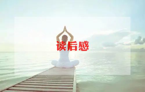 母亲的凶与狠读后感最新8篇