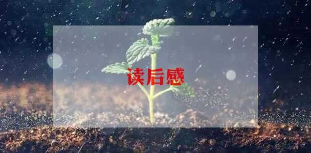 狗读后感300字最新6篇