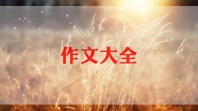 我的偶像文600字作文参考8篇