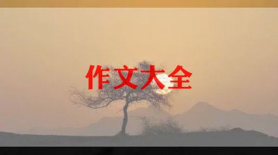 角落里的我作文800字6篇