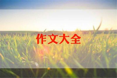 书是我的老师的作文模板8篇