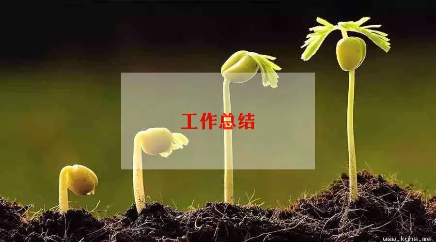 关于妇产科医生年度总结精选