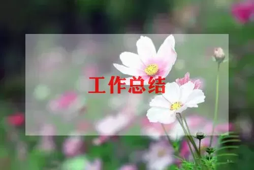 四年级美术教师的教学工作总结范文3篇