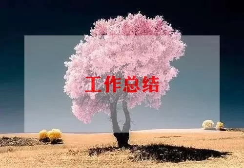 精选三年级体育教师工作总结范文