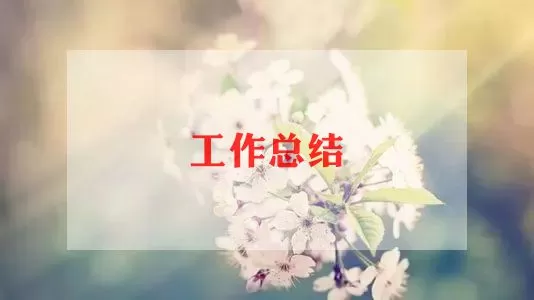 关于小学语文教师年度考核个人总结模板范文