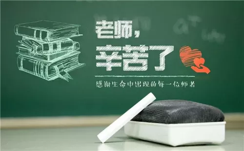 新入职教师实习总结报告