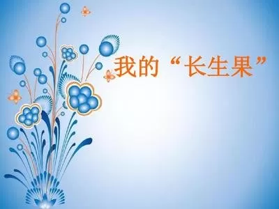 小学语文教师年度教学总结