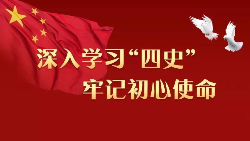 2020深入学习四史心得总结范文