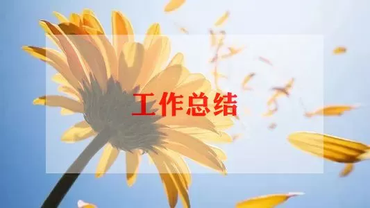 实验小学个人总结最新三篇