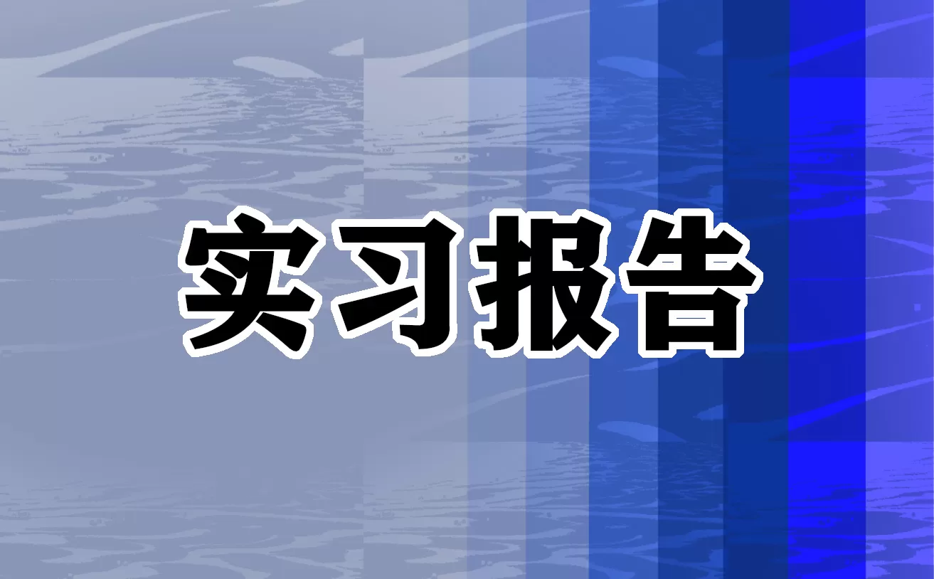 个人实习报告总结参考