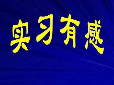 大学生企业顶岗实习总结