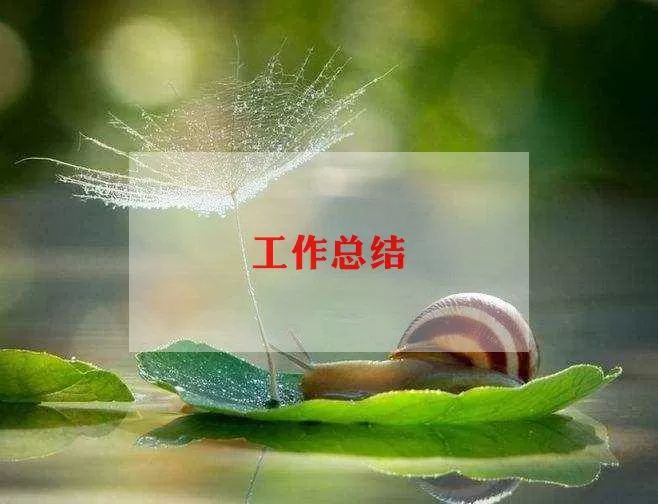 关于生物老师个人总结精选