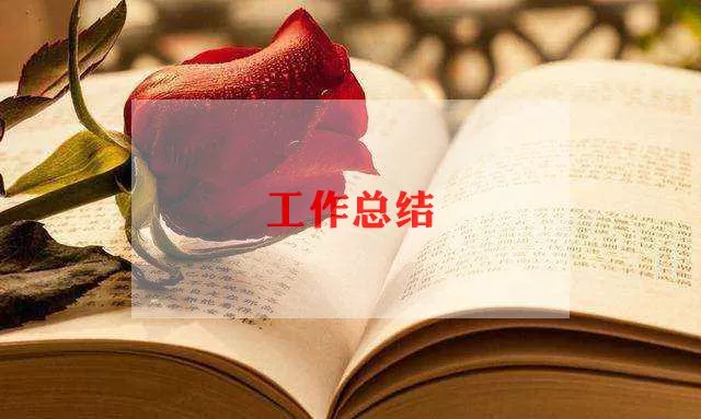 中学历史教师的教学个人工作总结最新5篇