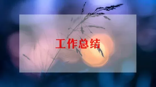 就业年度个人总结范文最新