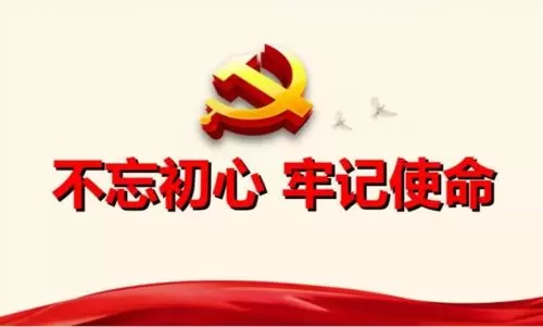 "不忘初心、牢记使命”党组2020年上半年党建工作总结