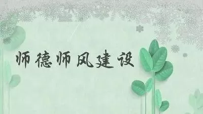 师德师风教师个人总结范文