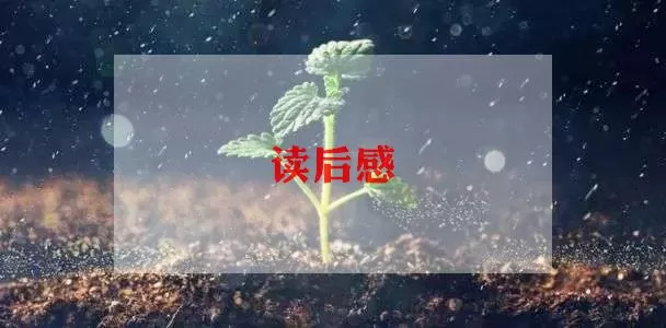 关于《我与地坛》读后感范文精选