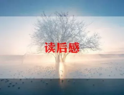 有关笨狼和聪明兔的读后心得五篇