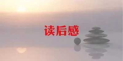 《长袜子皮皮》读后感心得范本锦集三篇